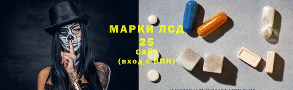 мяу мяу мука Арсеньев