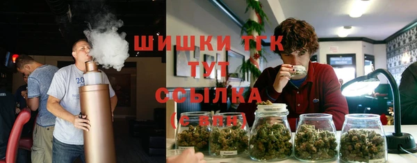мяу мяу мука Арсеньев