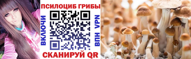 Псилоцибиновые грибы GOLDEN TEACHER  как найти наркотики  Мамадыш 